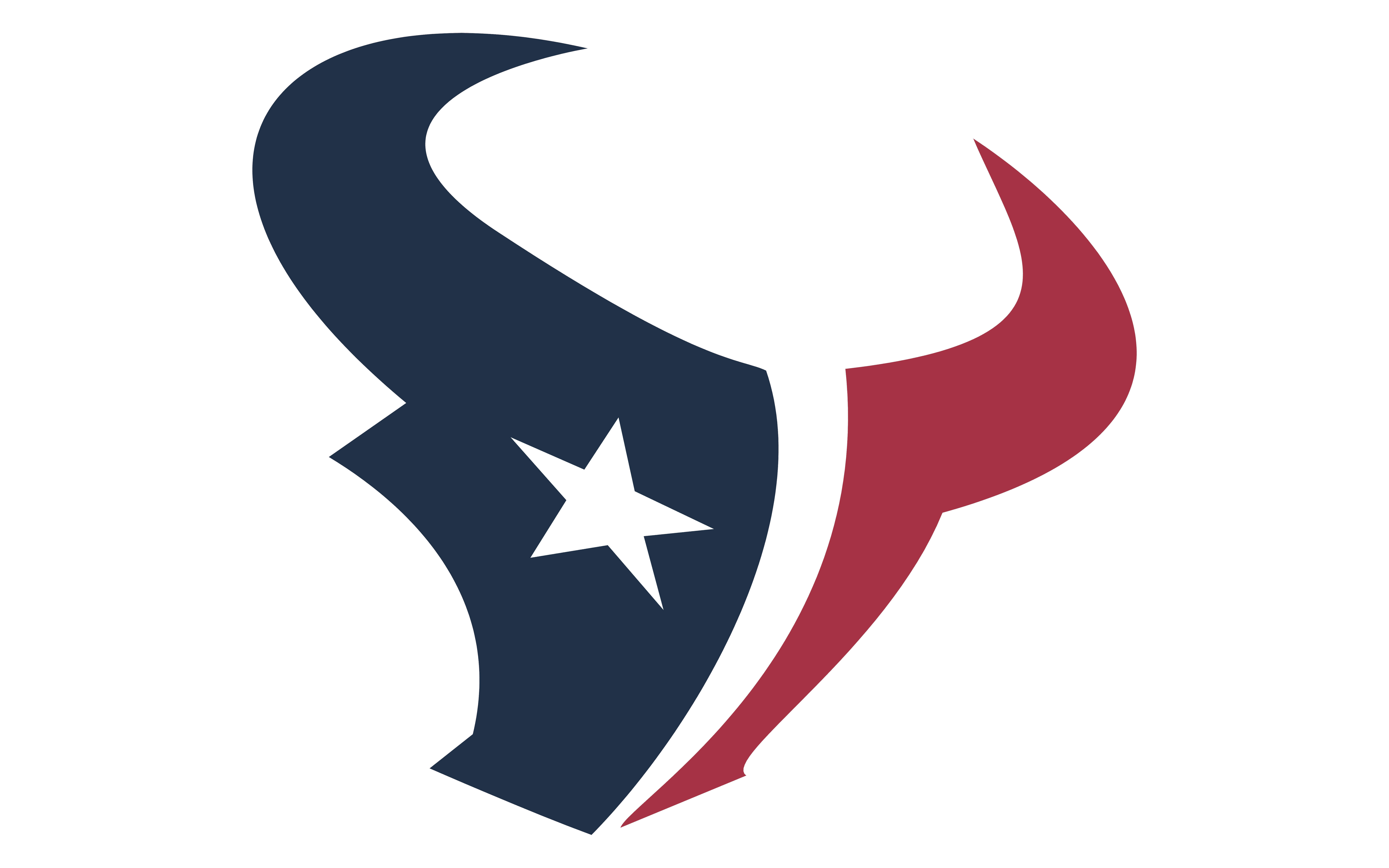 Texans Logo Home Page