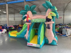 20230515192032 741387887 Tropical water slide