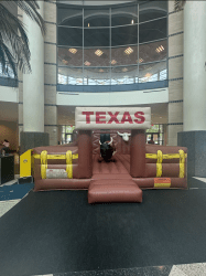 HPR20Mechanical20Bull 1761936300 Mechanical Bull