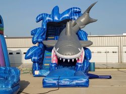 inflatables.jpg